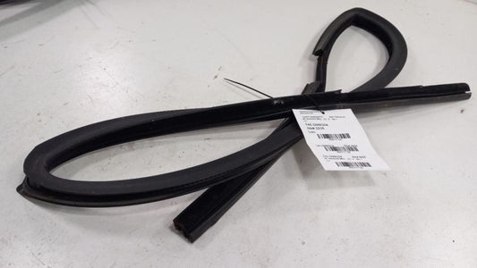 Chevy Trailblazer Door Glass Window Seal Rubber Right Passenger Front 