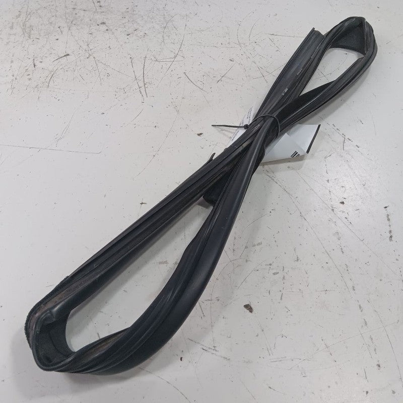 Ford Ecosport Door Glass Window Seal Rubber Right Passenger Front 2022