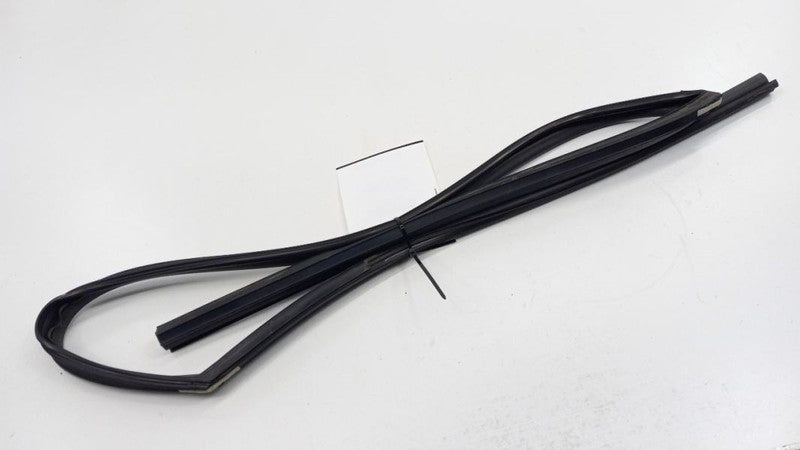 Hyundai Elantra Door Glass Window Seal Rubber Left Driver Front 2012 