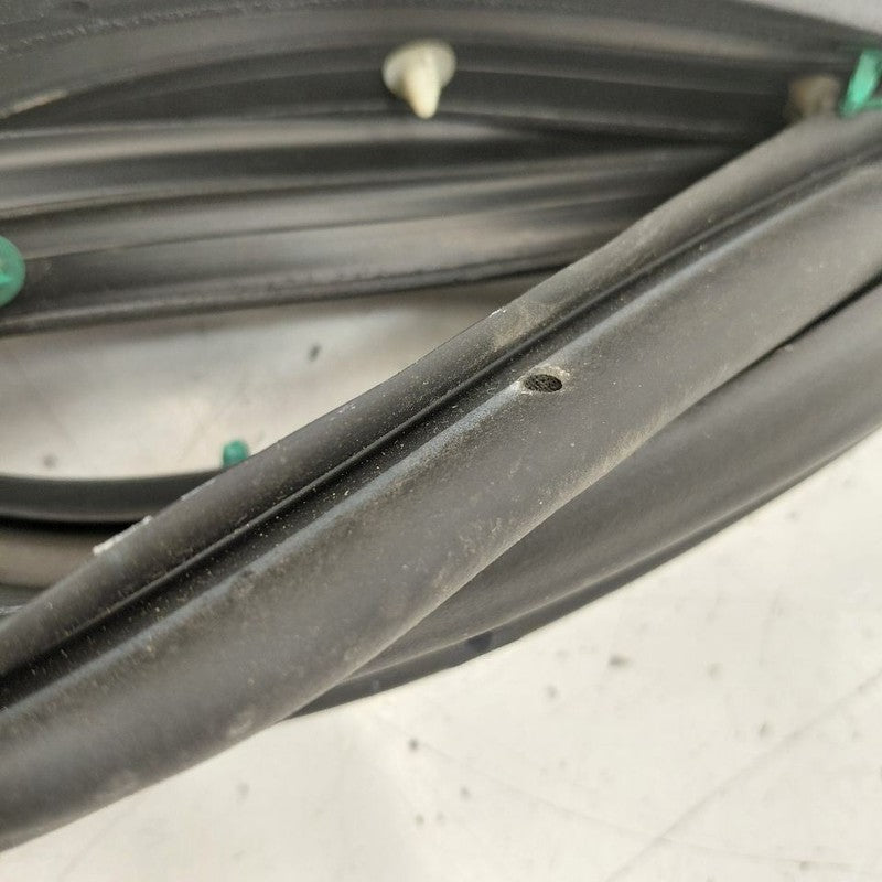 Chevy Volt On Door Seal Rubber Right Passenger Front  2016 2017 2018 2