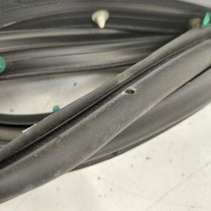 Chevy Volt On Door Seal Rubber Right Passenger Front  2016 2017 2018 2