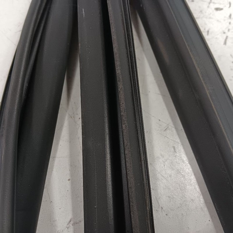 Nissan LEAF Door Glass Window Seal Rubber Right Passenger Front  2013 