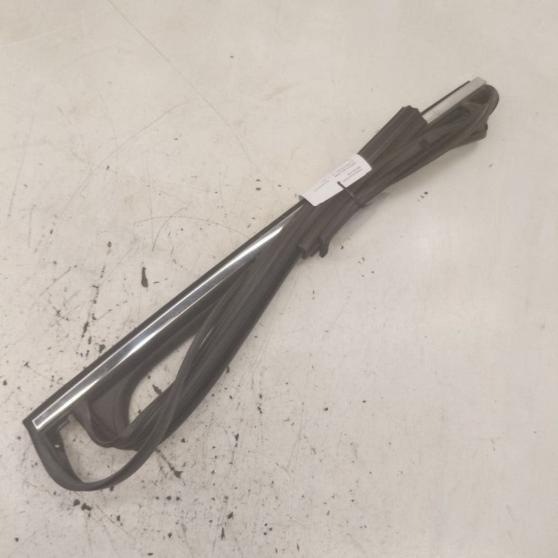 Hyundai Santa Fe Door Glass Window Seal Rubber Left Driver Rear Back  