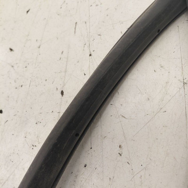 Honda Clarity On Door Seal Rubber Left Driver Rear Back  2018 2019 202