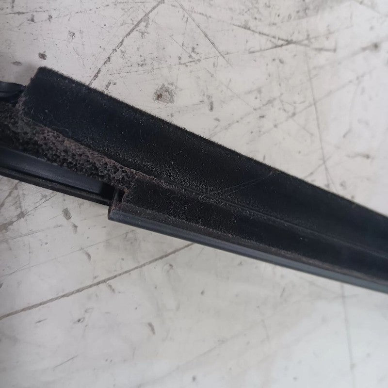 Nissan Kicks Door Glass Window Weather Strip Trim Rear Right Passenger Side Back