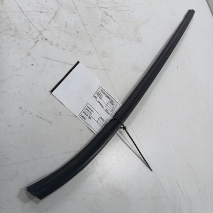 Nissan LEAF Door Glass Window Weather Strip Trim Rear Right Passenger 