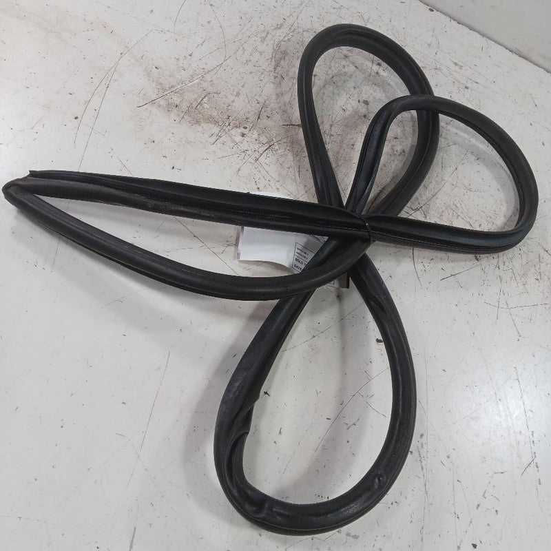 Toyota Corolla On Body Door Jamb Seal Rear Right Passenger Back  2019 