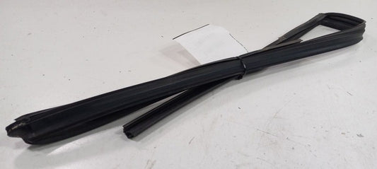 Hyundai Santa Fe Door Glass Window Seal Rubber Left Driver Front 2017 2018 2019