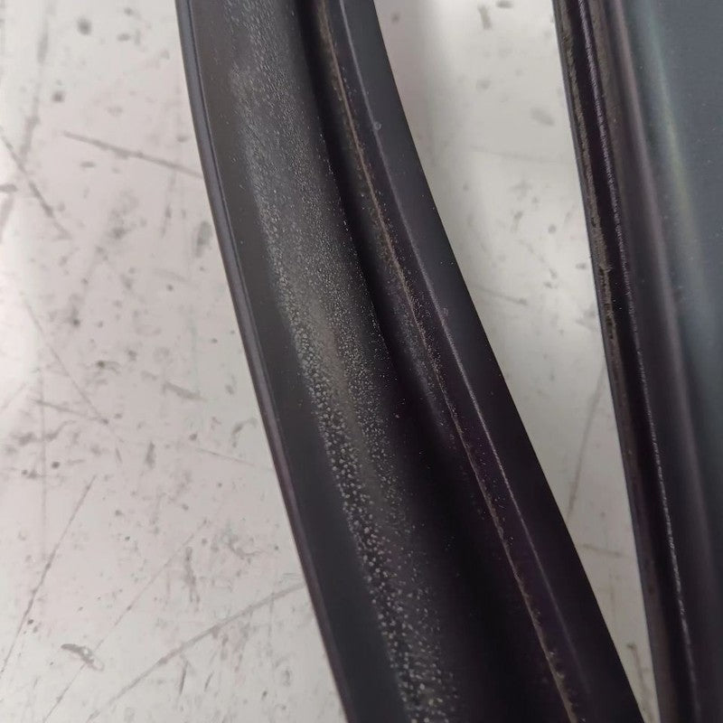 Ford Taurus Door Glass Window Seal Rubber Right Passenger Rear Back  2