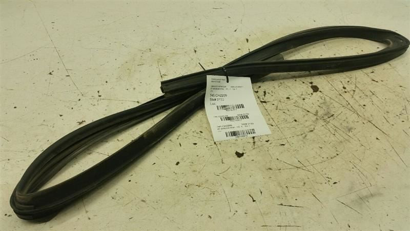 Dodge Journey Door Glass Window Seal Rubber Gasket Right Passenger Front 2009