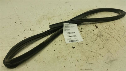 Dodge Journey Door Glass Window Seal Rubber Gasket Right Passenger Front 2009