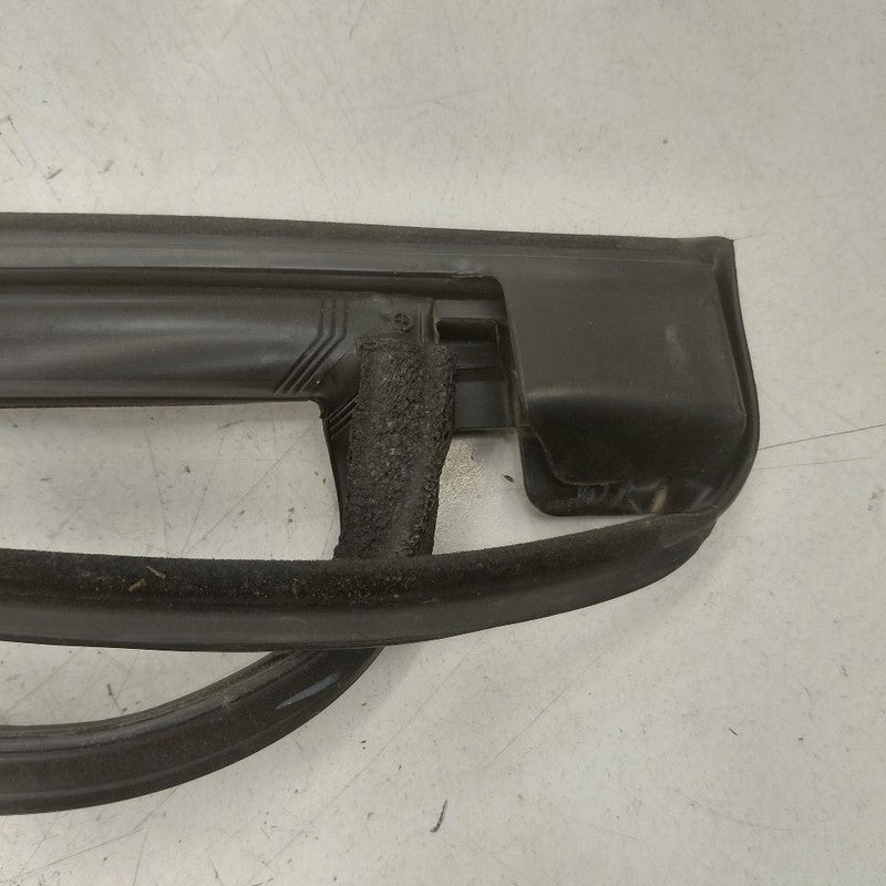 Ford Edge Door Glass Window Seal Rubber Left Driver Rear Back  2018 20