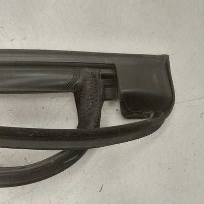 Ford Edge Door Glass Window Seal Rubber Left Driver Rear Back  2018 20
