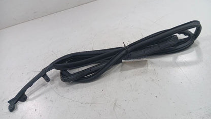 Chevy Volt On Door Seal Rubber Right Passenger Front  2011 2012 2013 2014 2015