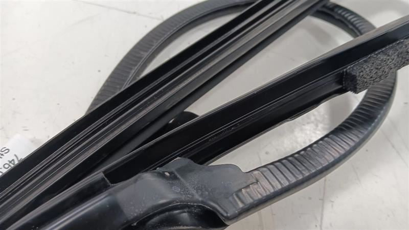 Buick Lacrosse Door Glass Window Seal Rubber Right Passenger Rear Back