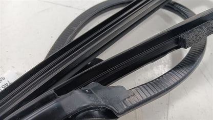 Buick Lacrosse Door Glass Window Seal Rubber Right Passenger Rear Back