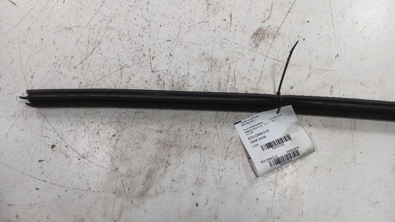 Buick Encore Left Front Weather Strip Interior  2013 2014 2015 2016 OE
