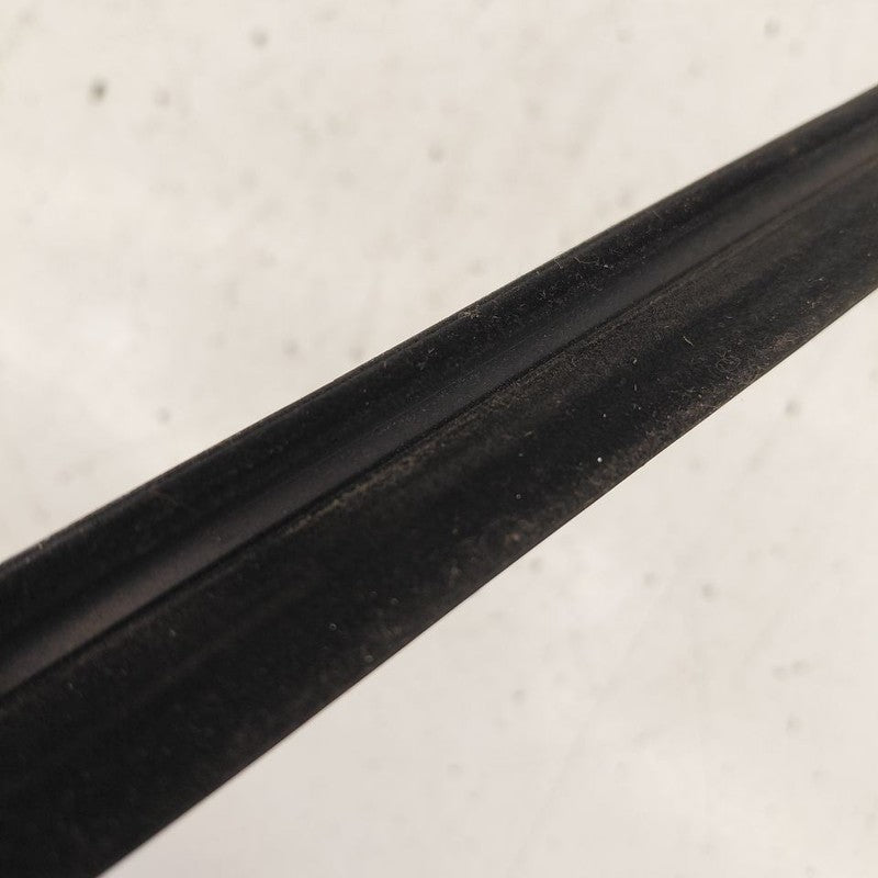 Chevy Volt Door Glass Window Weather Strip Trim Front Left Driver 2016