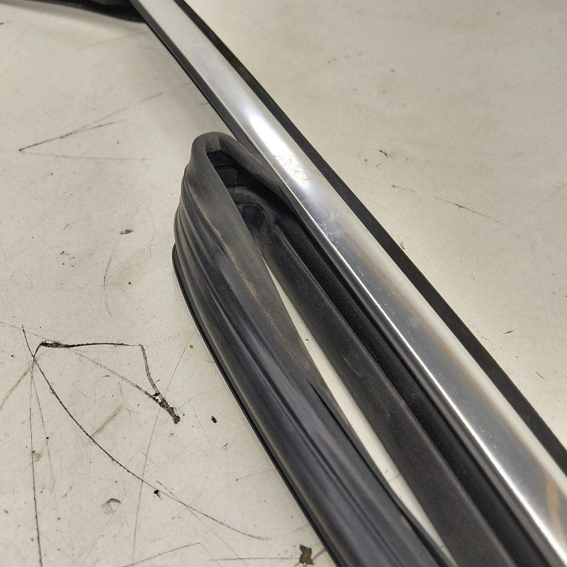 Chevy Volt Door Glass Window Seal Rubber Left Driver Front  2019 2018 