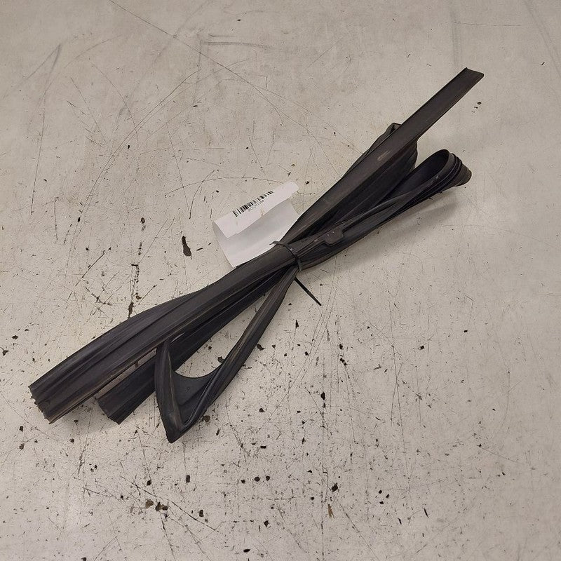 Nissan Rogue Door Glass Window Seal Rubber Left Driver Front  2021 202