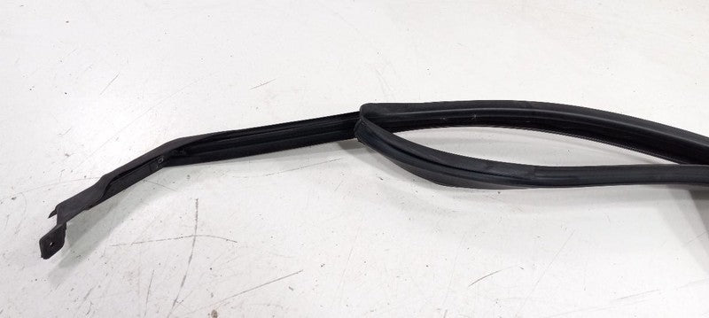 Kia Sorento Door Glass Window Seal Rubber Right Passenger Front 2016 2
