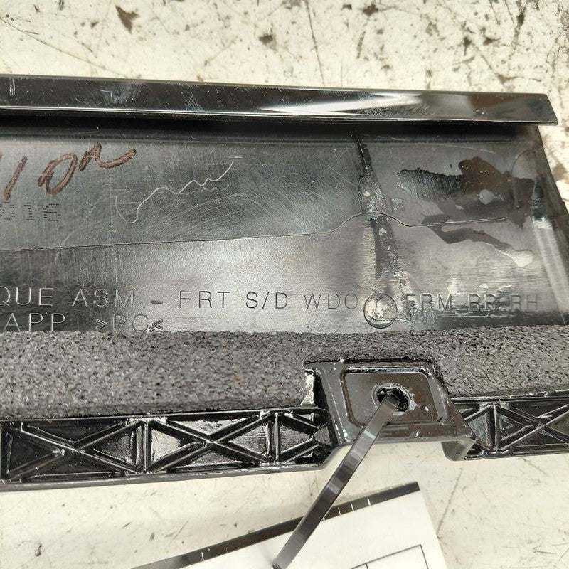 Cadillac CT6 Passenger Right Front Door Applique {23385021} 2018 2017 