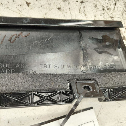 Cadillac CT6 Passenger Right Front Door Applique {23385021} 2018 2017 