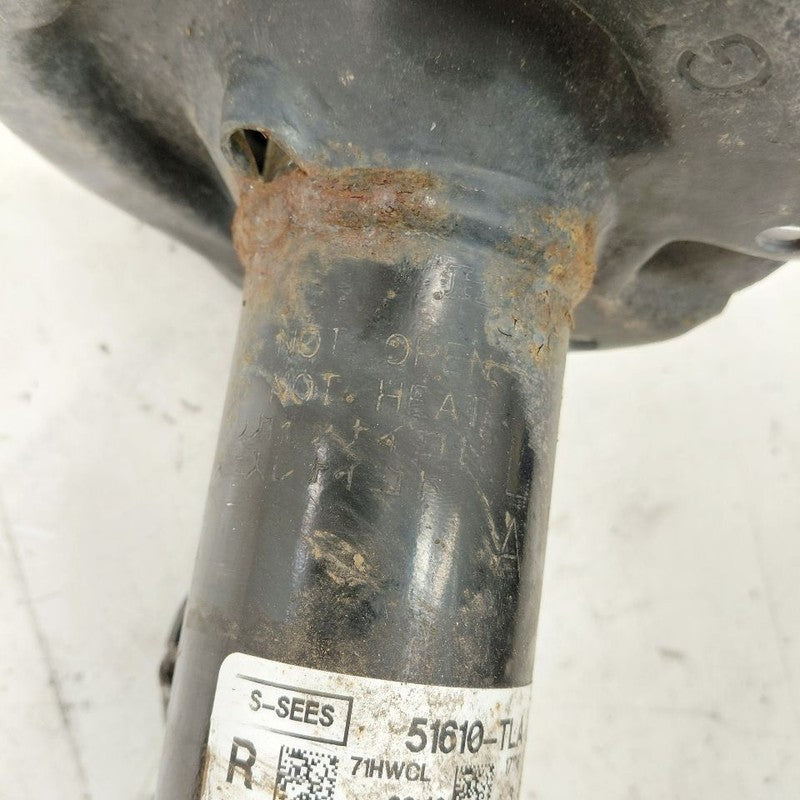 Passenger Right Front Strut AWD Fits 17-19 Honda CR-V