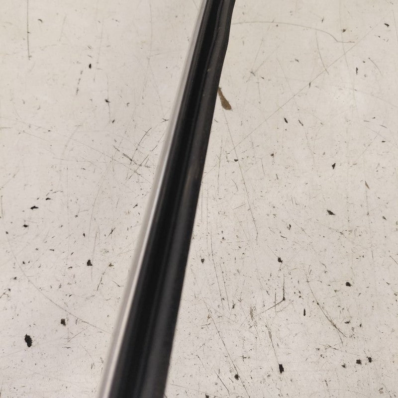 Chevy Equinox Door Glass Window Weather Strip Trim Front Left Driver  