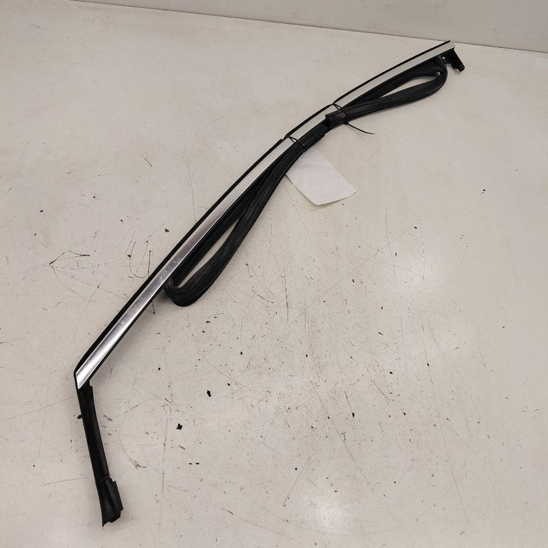 Chevy Volt Door Glass Window Seal Rubber Left Driver Front  2019 2018 