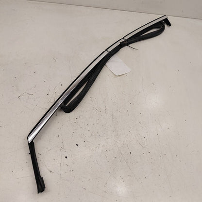 Chevy Volt Door Glass Window Seal Rubber Left Driver Front  2019 2018 