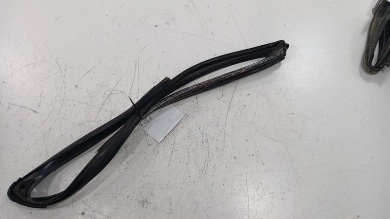Ford Taurus Door Glass Window Seal Rubber Right Passenger Front  2013 