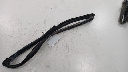 Ford Taurus Door Glass Window Seal Rubber Right Passenger Front  2013 