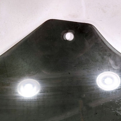 Left Rear Door Glass Window Fits 15-24 Ford Edge OEM