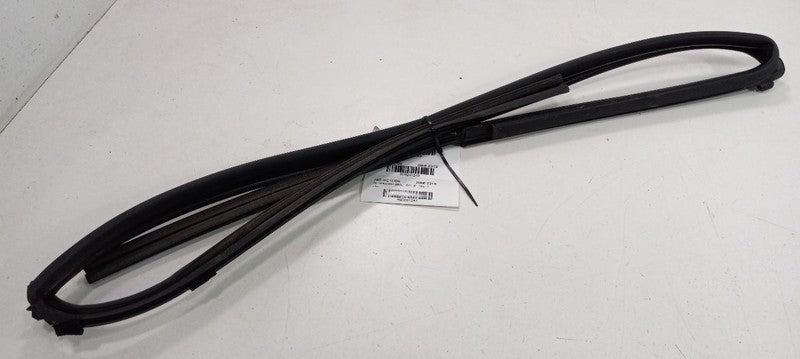 XD Scion Door Glass Window Seal Rubber Right Passenger Front 2008  OEM