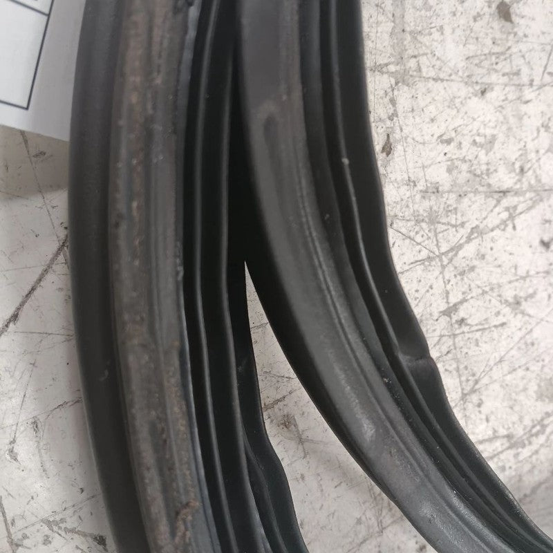 Hyundai Elantra Trunk Lid Hatch Door Rear Back Rubber Seal  2017 2018 2019 2020