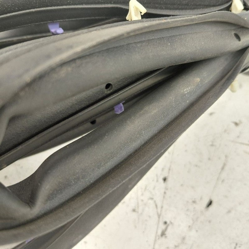 Chevy Volt On Door Seal Rubber Right Passenger Rear Back  2016 2017 20