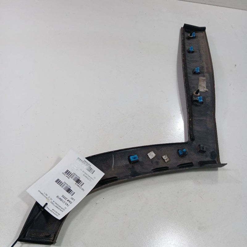 Jeep Compass Door Molding Trim Strip Left Driver Side Rear Back  2018 2019 2020 