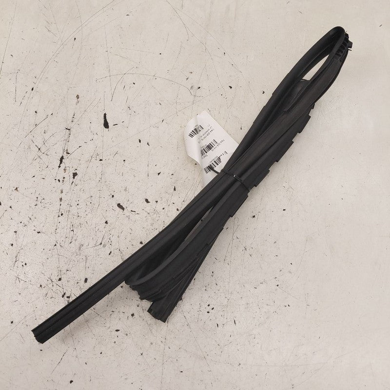 Nissan Versa Door Glass Window Seal Rubber Left Driver Front 2019 2018