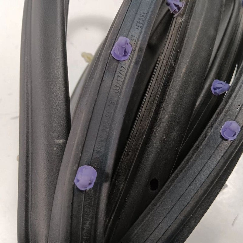 Jeep Compass On Door Seal Rubber Left Driver Front 2017 2018 2019 2020 2021 2022