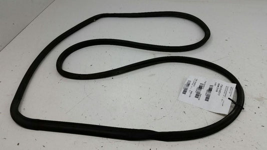 Dodge Dart On Door Seal Rubber Gasket Right Passenger Rear Back OEM 2013 2014