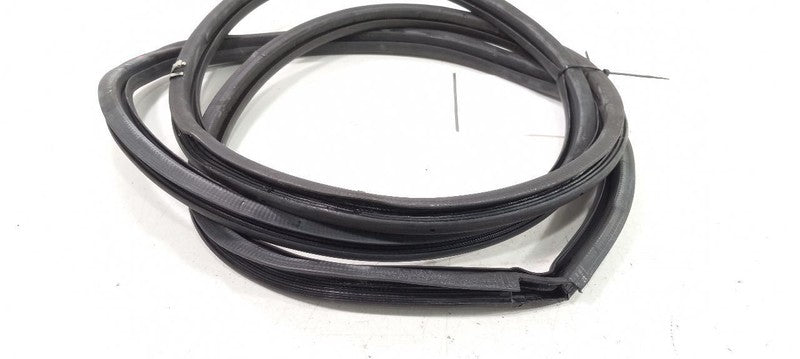 Lexus GS350 On Body Door Jamb Seal Rear Left Back 2007 2008 2009 OEM