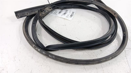 Hyundai Sonata On Door Seal Rubber Left Rear Back 2018 2019 OEM