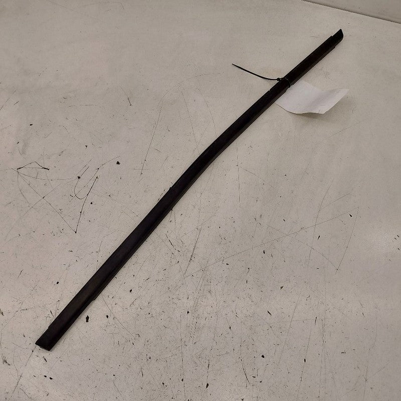 Chevy Volt Door Glass Window Weather Strip Trim Rear Right Passenger S