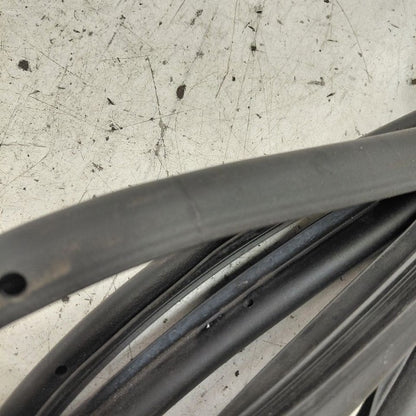 Cadillac CT6 On Door Seal Rubber Left Driver Rear Back  2018 2017 2016