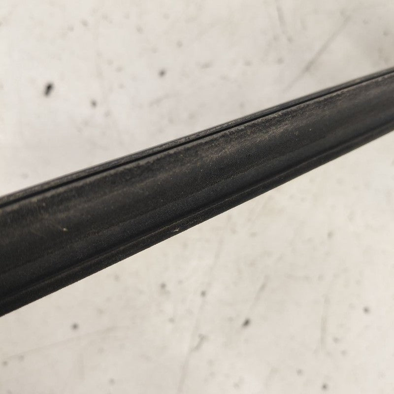 Chevy Volt Door Glass Window Weather Strip Trim Front Left Driver 2019