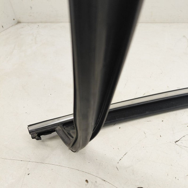 Kia Sorento Door Glass Window Seal Rubber Right Passenger Front  2018 