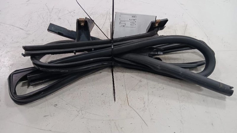 Chevy Traverse Door Glass Window Seal Rubber Left Rear Back  2010 2011