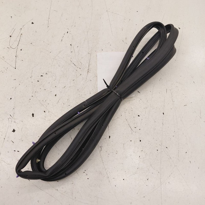 Chevy Volt On Door Seal Rubber Right Passenger Rear Back  2019 2018 20