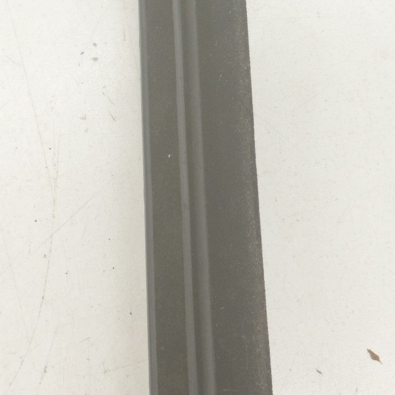 Buick Encore GX Door Glass Window Weather Strip Trim Rear Left Driver 